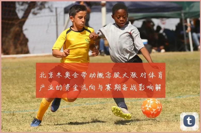 北京冬奥会带动概念股大涨 对体育产业的资金流向与赛期备战影响解读