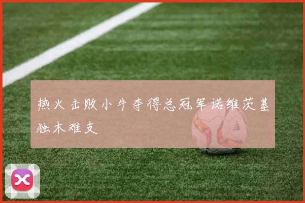 热火击败小牛夺得总冠军诺维茨基独木难支