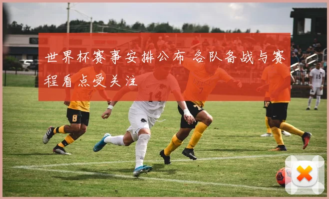 世界杯赛事安排公布 各队备战与赛程看点受关注